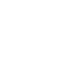 Tripadvisor 2025 Certificate of Excellence logo with owl graphic.