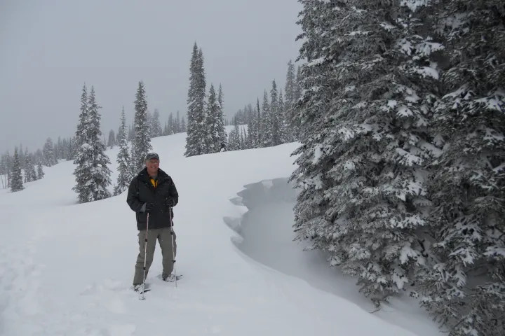 Person snowshoeing in snowy forest with tall trees on overcast day.