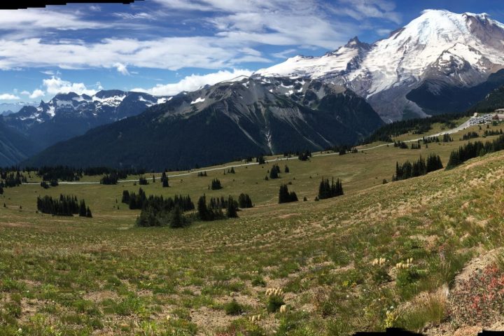 a panorama of a hillside and a snow covered mountain behind on a mt rainier tour