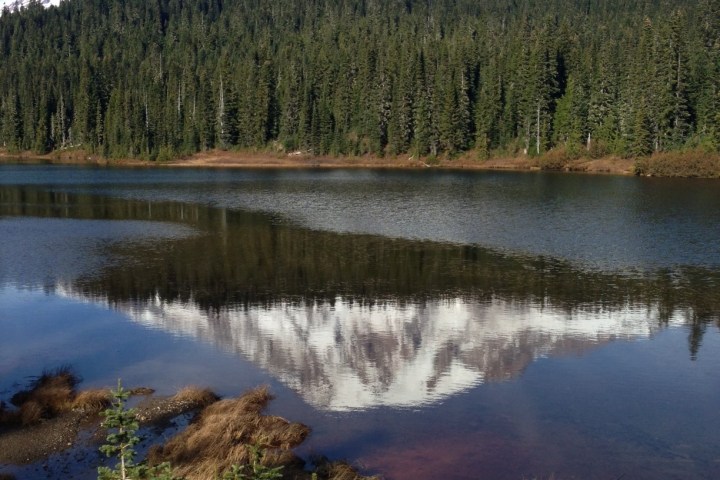 a large body of water with a mountain in the background seen on a tour of mt rainier