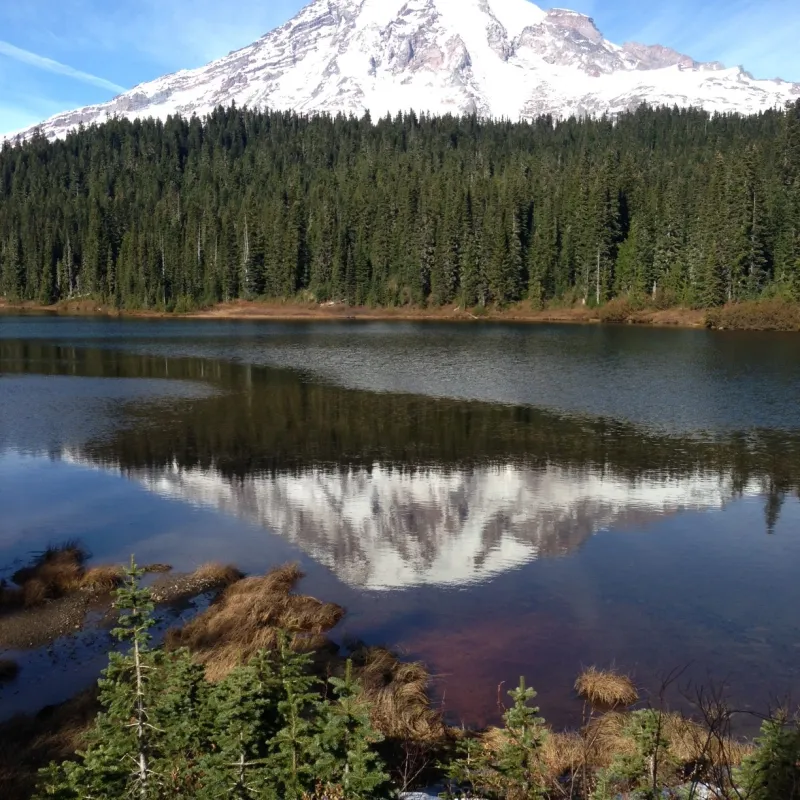 a lake with Mt. Rainier in the background seen on a Mt Rainier Tour from Seattle