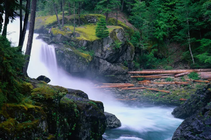 a waterfall deep in a forest seen during a tour of mt rainier from seattle