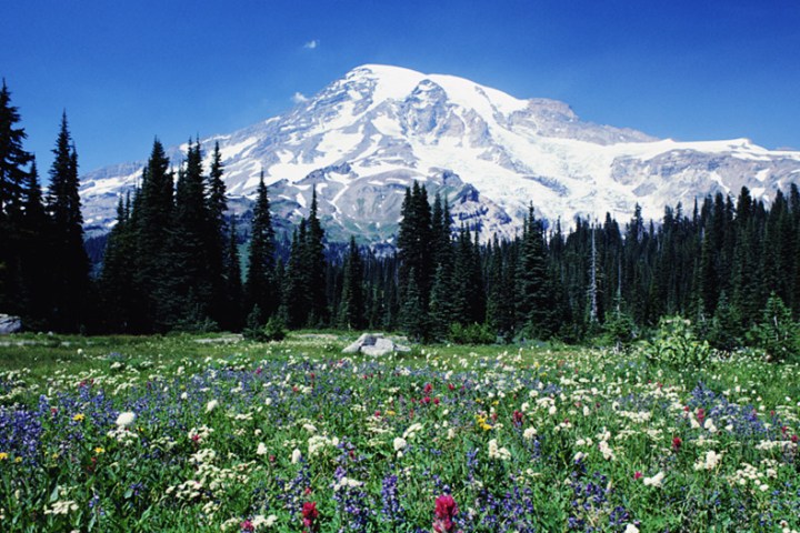 landscape view of Mt Rainier on Tours Northwest tour