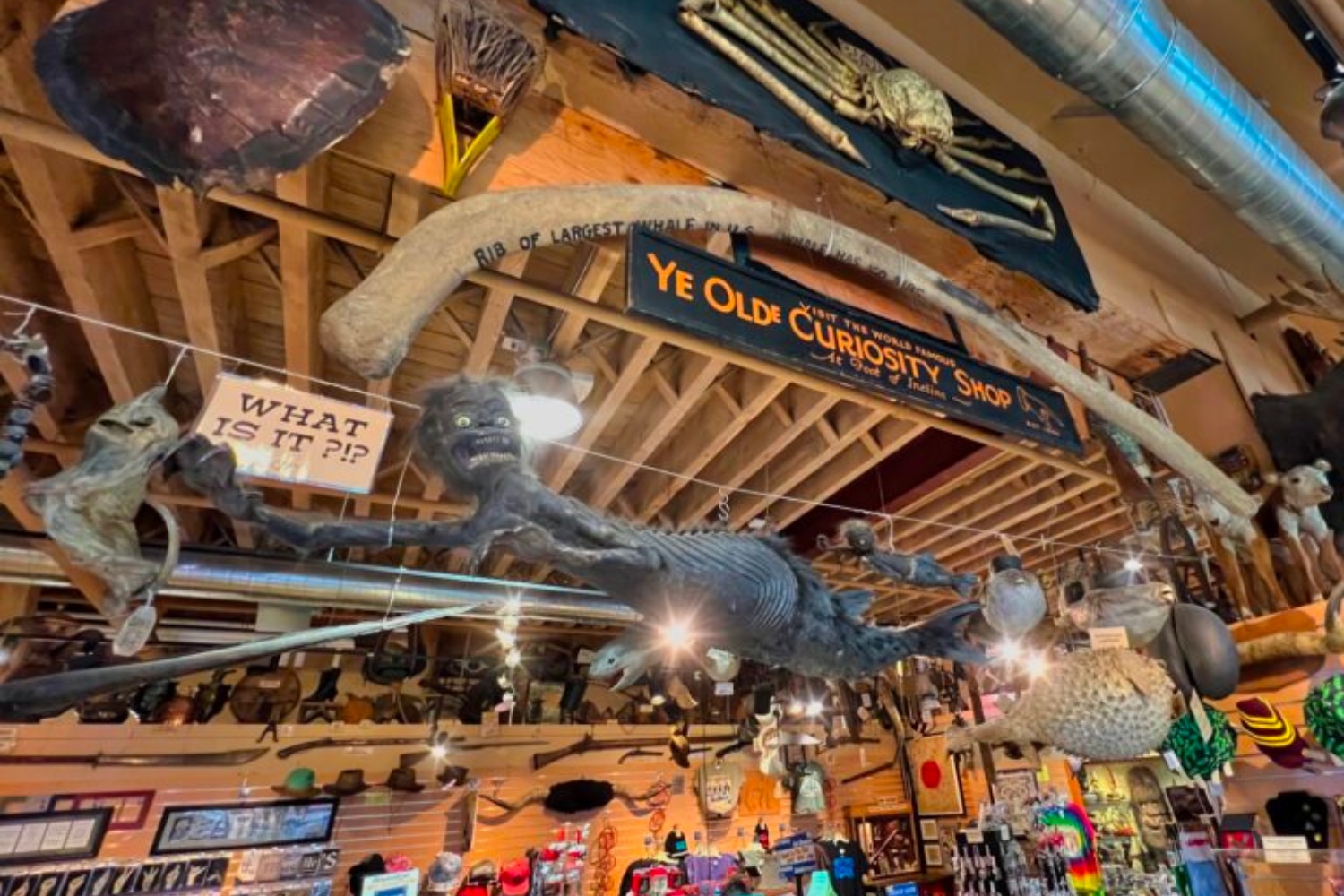ye olde curiosity shop sign and store at Pier 54 on the Seattle waterfront