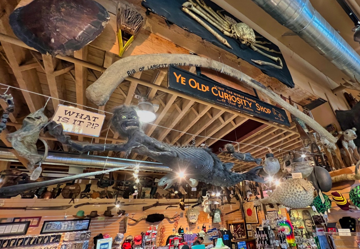a group of stuffed animals on display in a store