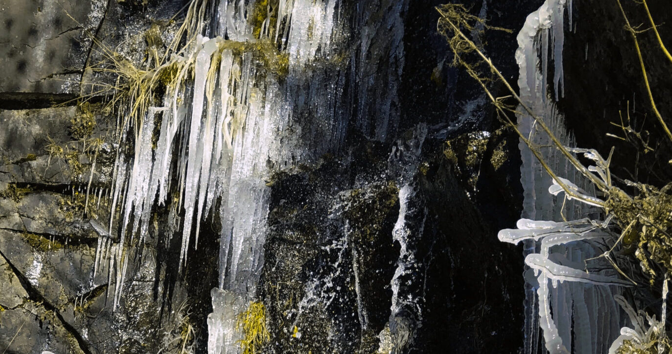 ice in Mount Rainier National Park