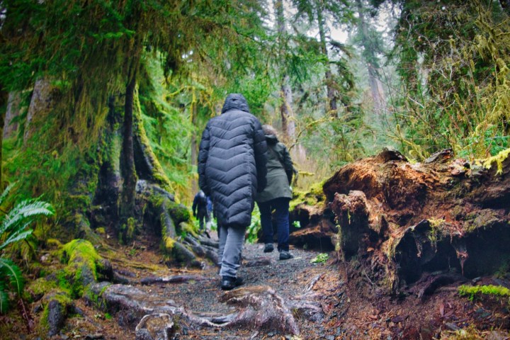 a man standing next to a forest