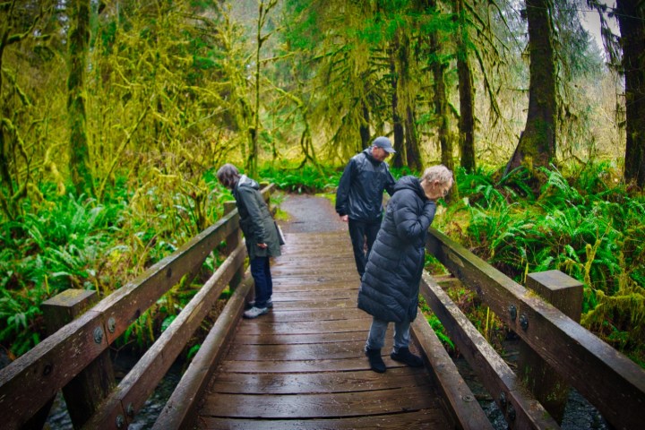 a group of people walking on a wooden bench