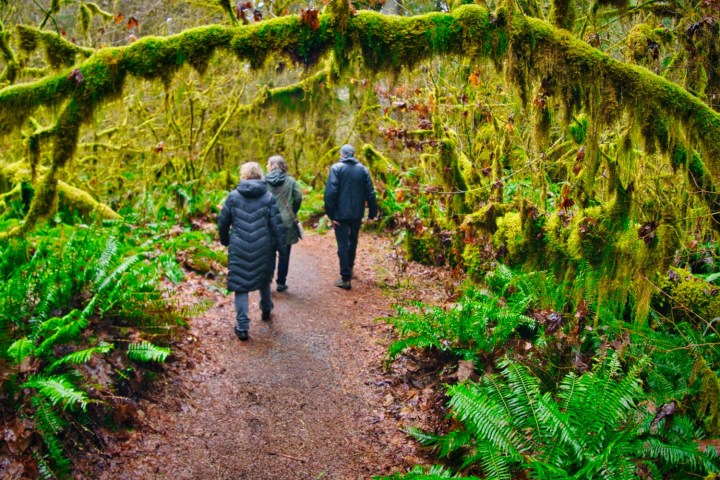 a person walking down a dirt path next to a tree