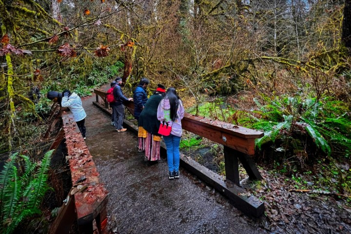 a group of people sitting on a bench next to a tree