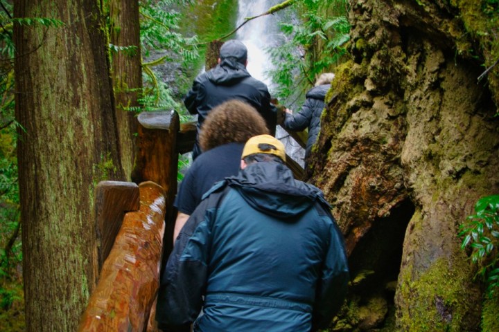 a person standing next to a tree