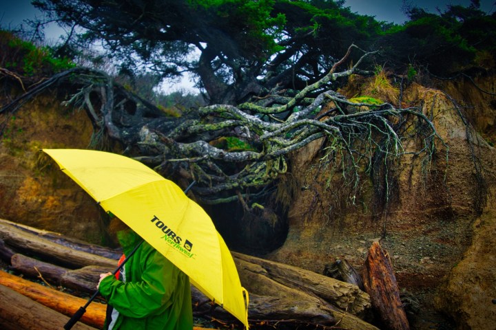 a person that is standing in the dirt