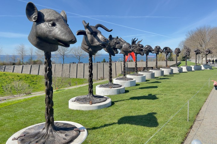 Outdoor animal-headed sculptures on grass with clear sky background.