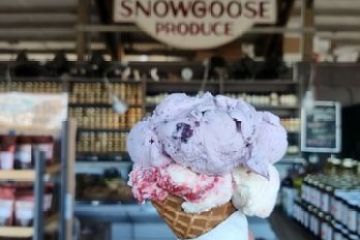 Hand holding a triple scoop ice cream cone at Snowgoose Produce.