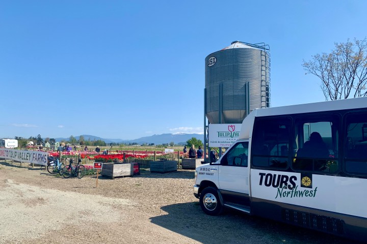 Tour bus at Tulip Valley Farms entrance with silo and tulip fields in the background.