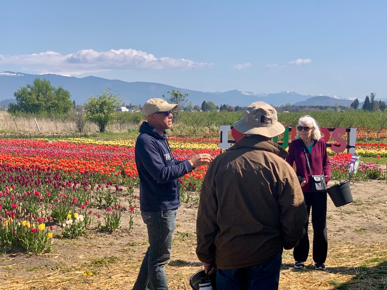 People in a vibrant tulip field with mountains in the background and a large sign.
